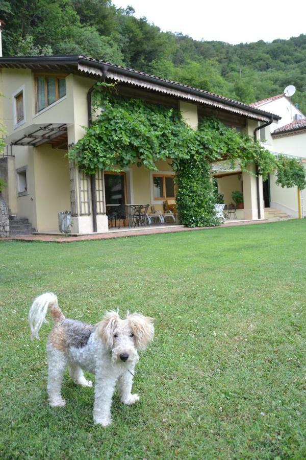 Villaga B&B Ca' Dell'Ortolan מראה חיצוני תמונה